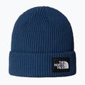Wintermütze The North Face Salty Lined