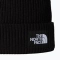 The North Face Salzige gefütterte Wintermütze 2
