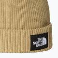 The North Face Salzige gefütterte Wintermütze 2