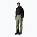Herren Skihose The North Face Summit Tsirku GTX Pro Bib bark mist/black