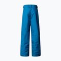 Skihose Kinder The North Face Freedom Insulated dusk blue 5
