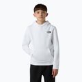 Hoodie Sweatshirt Kinder The North Face Teen Redbox Regular P/O white/black 4