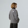 Fleece Hoodie Sweatshirt Kinder The North Face Yumiori Full Zip smoked pearl/black 3