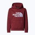 Hoodie Sweatshirt Kinder The North Face Teen Drew Peak Pullover Hoodie sumac