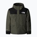 Regenjacke Kinder The North Face Mountain Down new taupe green