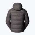 Daunenjacke Herren The North Face Hydrenalite Down Hoodie smoked pearl 2
