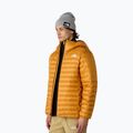 Jacke Herren The North Face Terra Peak Hoodie citrine yellow