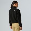 Hoodie Sweatshirt Damen The North Face Glacier Fleece 1/2 Zip Short black 3