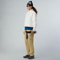 Hoodie Sweatshirt Damen The North Face Glacier Fleece 1/2 Zip Short white dune 2