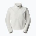 Hoodie Sweatshirt Damen The North Face Glacier Fleece 1/2 Zip Short white dune 4
