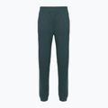 Hose Damen The North Face Mountain Athletics Fleece deep cypress/space