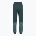 Hose Damen The North Face Mountain Athletics Fleece deep cypress/space 2