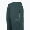 Hose Damen The North Face Mountain Athletics Fleece deep cypress/space 3