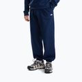 Herrenpullover The North Face Evolution Simple Dome Regular Hoodie summit navy