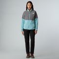 Trekkinghose Damen The North Face Quest Softshell black 2
