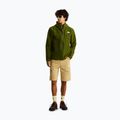 Herren-Trekkinghose The North Face Exploration Regular Tapered Convertible khaki stone 2