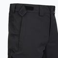 Skihose Herren The North Face Chakal Regular black/black 3