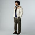 Herrenjacke The North Face Saikuru mushroom grau/weiß dun 2