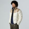 Herrenjacke The North Face Saikuru mushroom grau/weiß dun 4