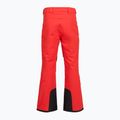 Skihose Herren The North Face Chakal Regular elevation red 2