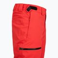 Skihose Herren The North Face Chakal Regular elevation red 3
