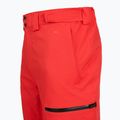 Skihose Herren The North Face Chakal Regular elevation red 4