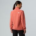 Fleece Hoodie Sweatshirt Damen The North Face Glacier Fleece mars dust 3