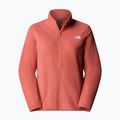 Fleece Hoodie Sweatshirt Damen The North Face Glacier Fleece mars dust 5