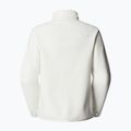 Fleece Hoodie Sweatshirt Damen The North Face Glacier Fleece white dune 6