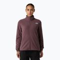 Damen-Fleece-Sweatshirt The North Face Glacier Fleece gelbbraun quarz