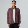 Damen-Fleece-Sweatshirt The North Face Glacier Fleece gelbbraun quarz 4