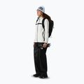 Fleece Hoodie Sweatshirt Damen The North Face Glacier Fleece white dune 2