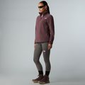 Fleece Hoodie Sweatshirt Damen The North Face Glacier Fleece 1/4 Zip tawny quartz 2