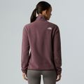 Fleece Hoodie Sweatshirt Damen The North Face Glacier Fleece 1/4 Zip tawny quartz 3