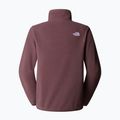 Fleece Hoodie Sweatshirt Damen The North Face Glacier Fleece 1/4 Zip tawny quartz 5