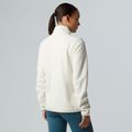 Fleece Hoodie Sweatshirt Damen The North Face Glacier Fleece 1/4 Zip white dune 3