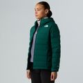Daunenjacke Damen The North Face Abseil Stretch Down Hoodie hunter green 4