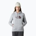 Hoodie Sweatshirt Damen The North Face Drew Peak Pullover Hoodie lightgreyheather/tawnyquartz