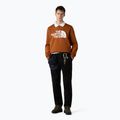 Herren Sweatshirt The North Face Easy Crew verbrannt umber 2