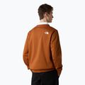 Hoodie Sweatshirt Herren The North Face Easy Crew burnt umber 3