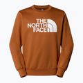 Hoodie Sweatshirt Herren The North Face Easy Crew burnt umber 4