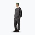Hose Herren The North Face Expedition Celebration Relaxed Jogger Reg anthracite grey 2