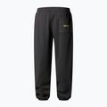 Hose Herren The North Face Expedition Celebration Relaxed Jogger Reg anthracite grey 5
