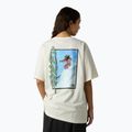 Shirt Herren The North Face NSE Slopes Relaxed Tee Graphic white dune 3