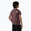Kinder-T-Shirt The North Face Simple Dome tawny quartz 5