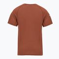 Funktionsshirt Herren Smartwool Merino Sport 120 burnt sienna 2