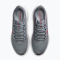 Herren-Laufschuhe Nike Pegasus 41 cool grey/wolf grey/pure platinum/bright crimson 5