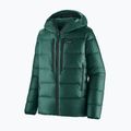 Patagonia Herren Daunenjacke Fitz Roy Down Hoody cascade grün
