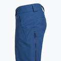 Herren Patagonia Isolierte Powder Town Skihose clement blau 4