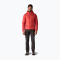 Herren Daunenjacke Patagonia Down Sweater Hoody amanita red 2